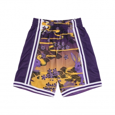 pantaloncino basket uomo nba ah swingman short 50 hardwood classics 1996 loslak PURPLE/YELLOW