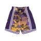 pantaloncino basket uomo nba ah swingman short 50 hardwood classics 1996 loslak PURPLE/YELLOW