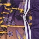 pantaloncino basket uomo nba ah swingman short 50 hardwood classics 1996 loslak PURPLE/YELLOW