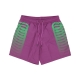 costume pantaloncino uomo ribs swimtrunk PURPLE HAZE/GREEN