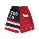 pantaloncino basket uomo nba jumbotron 30 shorts chibul MULTI/WHITE