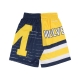 pantaloncino basket uomo ncaa jumbotron 30 shorts micwol MULTI/WHITE