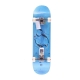 skateboard assemblati uomo g2 rholtsu BLUE/WHITE