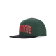 cappellino visiera piatta uomo collegiate arch snapback GREEN