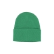 cappello uomo karma beanie FERN GREEN