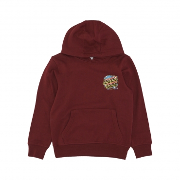 felpa cappuccio ragazzo youth pikachu spray dot hoodie x pokemon MAROON