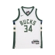 canotta basket ragazzo nba association edition swingman jersey no 34 giannis antetokounmpo milbuc ORIGINAL TEAM COLORS