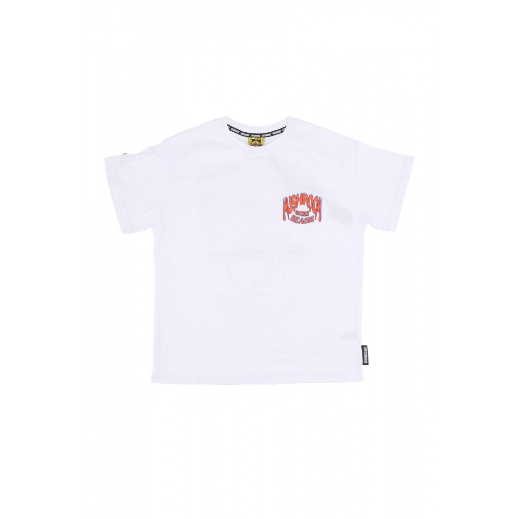 maglietta uomo surf beach tee WHITE