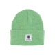 cappello uomo dusk beanie CACTUS HEATHER