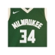 canotta basket ragazzo nba swingman jersey icon edition no 34 giannis antetokounmpo milbuc ORIGINAL TEAM COLORS