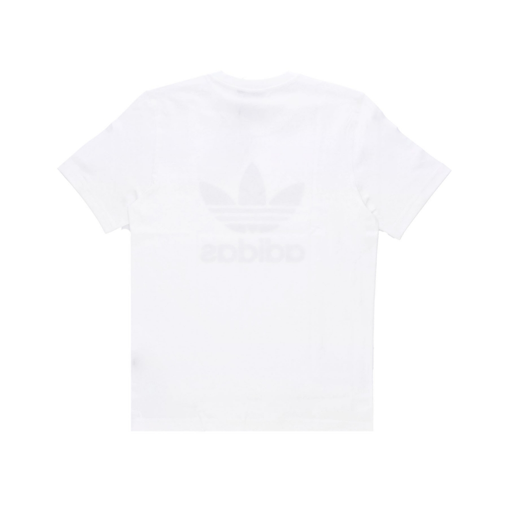 maglietta uomo trefoil tee WHITE/SEMI PULSE LILAC