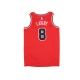 canotta basket uomo nba icon edition 22 dri-fit swingman jersey no 8 zach lavine chibul UNIVERSITY RED