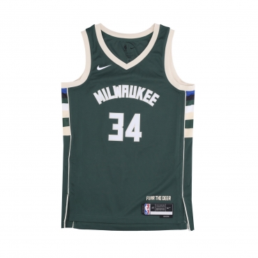 canotta basket uomo nba icon edition 22 dri-fit swingman jersey no 34 giannis antetokounmpo milbuc FIR