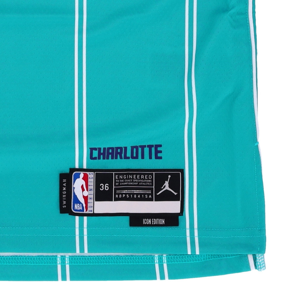 canotta uomo nba icon edition dri-fit swingman jersey no 1 lamelo ball chahor RAPID TEAL