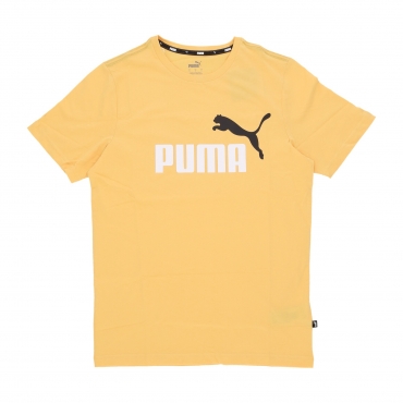 maglietta uomo essentials 2 col logo tee MUSTARD SEED