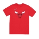 maglietta uomo nba essential logo 1 tee chibul UNIVERSITY RED