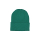 cappello uomo peak beanie tc MALACHITE/WHITE