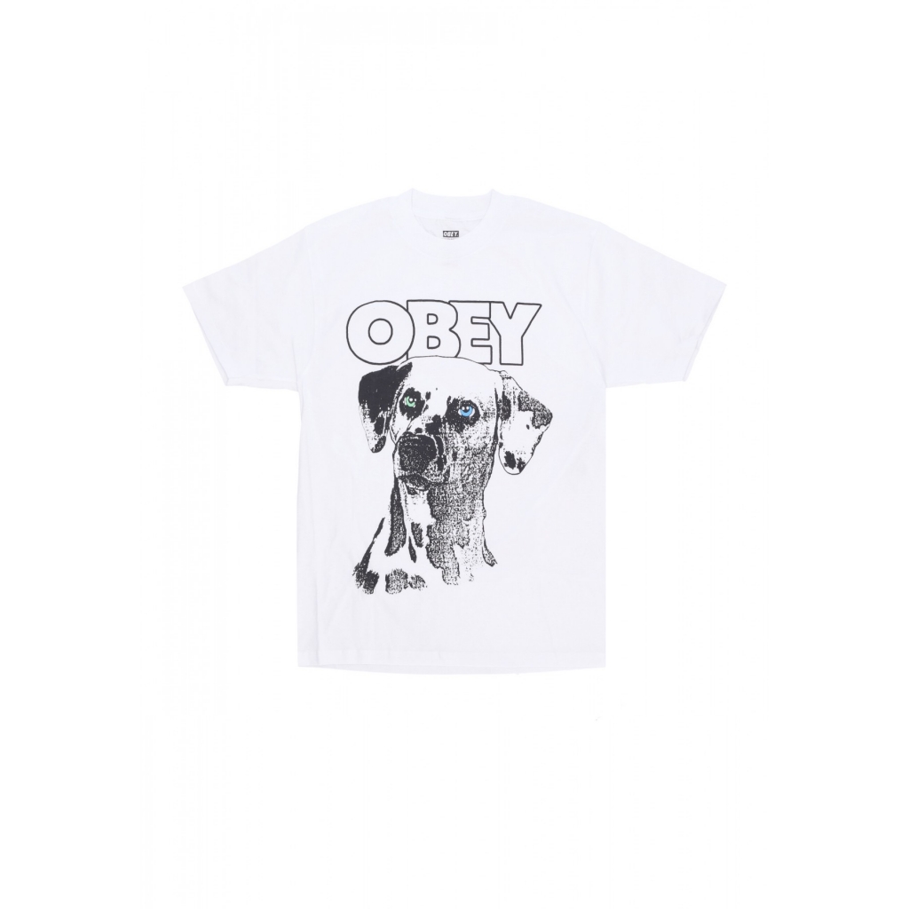 maglietta uomo dalmation tee WHITE