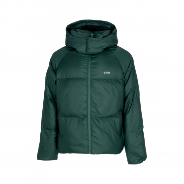 piumino uomo puffer jacket GREEN