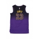 canotta basket uomo nba city edition 2024/25 dri-fit swingman jersey no 23 lebron james loslak FIELD PURPLE